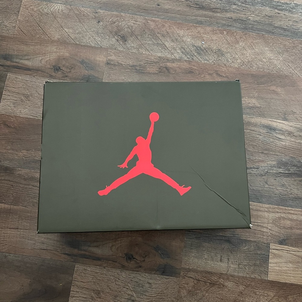 Travis Scott Jordan 6